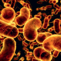 INFEKTSIYALAR VA ERKAK BEPUSHTLIGI O‘RTASIDAGI BOG‘LIQLIK